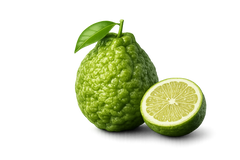 Sparkling Bergamot