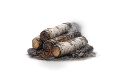 Smoky Birch