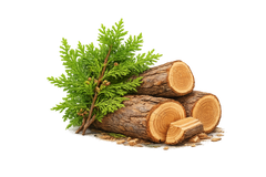 Cedarwood