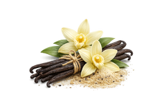 Vanilla