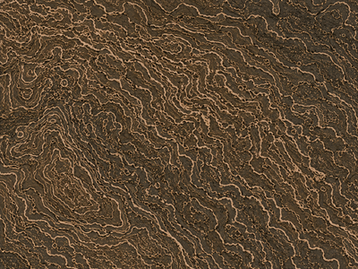 Reveals topographic contour maps.
