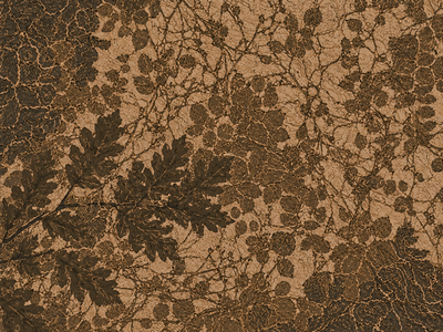 Reveals wilderness vegetation.