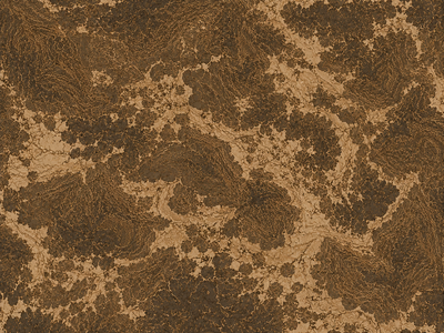 Reveals hidden details within the landscape.